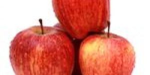 Shimla Apple
