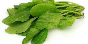 Spinach