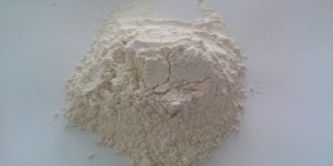 Dehydrated White Onion Powder