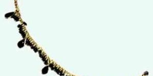 Vogue Anklet She-168/ank