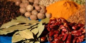 Spices