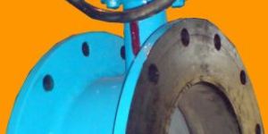 Butterfly Valve
