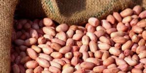 Pk - 01 Peanuts Kernels