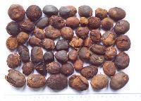 Ox Gallstone