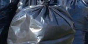 Polyethylene Liner Bags