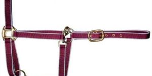 Nylon Halters-01