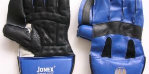 Wicket Keeping Gloves
