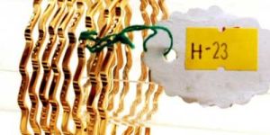 Fancy Gold Bangles H-23