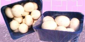 White Button Mushroom