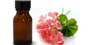 Geranium Oil