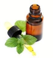 Peppermint Oil