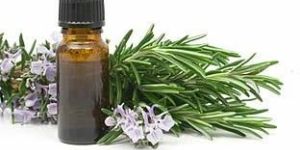 Rosemary Oil