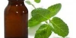Spearmint Oil