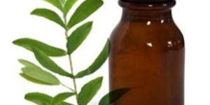 Tea Tree Oil