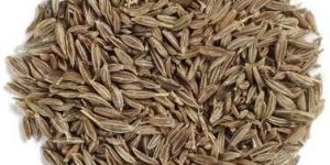 Cumin Seeds
