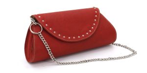 Clutch Purse 5400