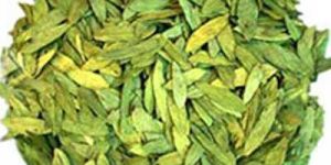 Senna Leaves