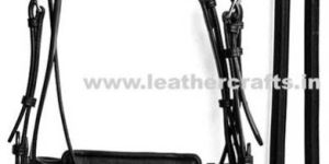 Horse Bridles