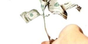 Deemed Exports Services