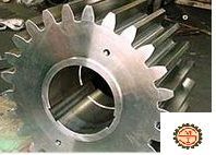Gear Pinions Shaft