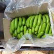 Fresh Green Banana
