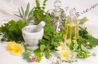Herbal Medicinal Plants