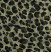 Printed Shawls  - 04