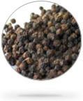 Black Pepper Seeds