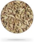 Organic Cumin Seeds