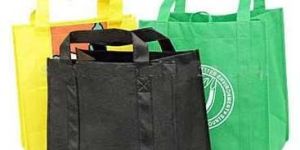 Non Woven Bags