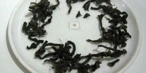 Nagarmotha {cyperus Rotundus}