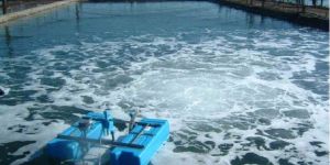 Sewage Waste Water Treatment Plant