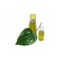 Betel Leaf Oil