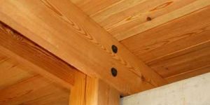 Sawn Wood Products