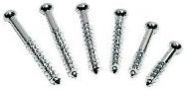 Bone Screws