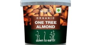 Almond Nuts