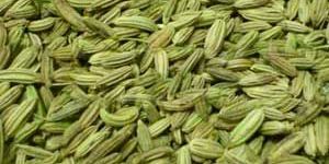 Fennel Seeds