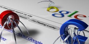 Search Engine Optimization Service