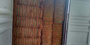 Coir Fiber