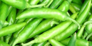 Green Chilly