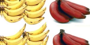 Red Banana