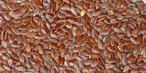 Flax Seeds