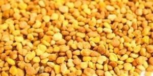 Organic Bee Pollen