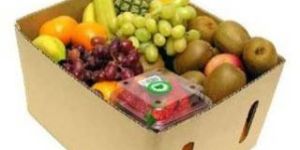 Fruit Packaging Boxes
