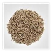 Cumin Seeds