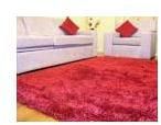 Polyester Shaggy Carpets