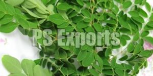 Drumstick Leaves
