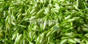 Fresh Mullai Flowers