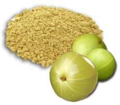 Amla Fruit Powder