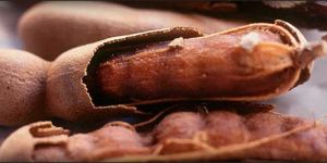 Tamarind Block (Imli/Tamr)